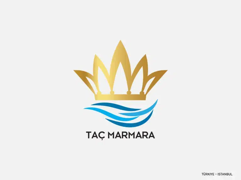 Logo design tsmemje 08 768x576